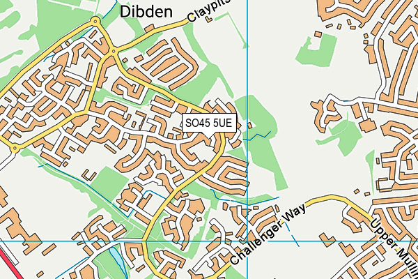 SO45 5UE map - OS VectorMap District (Ordnance Survey)
