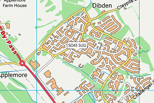 SO45 5UG map - OS VectorMap District (Ordnance Survey)