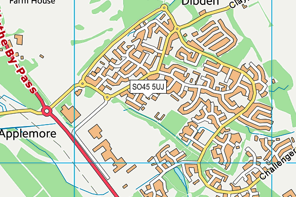 SO45 5UJ map - OS VectorMap District (Ordnance Survey)