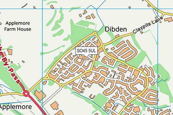 SO45 5UL map - OS VectorMap District (Ordnance Survey)