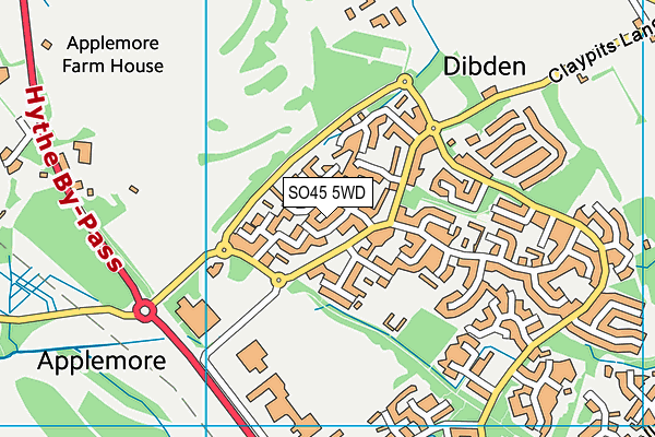 SO45 5WD map - OS VectorMap District (Ordnance Survey)