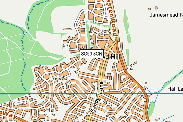 SO50 8GN map - OS VectorMap District (Ordnance Survey)