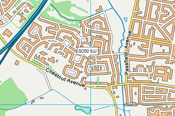 SO50 9JJ map - OS VectorMap District (Ordnance Survey)