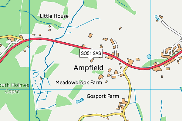 SO51 9AS map - OS VectorMap District (Ordnance Survey)