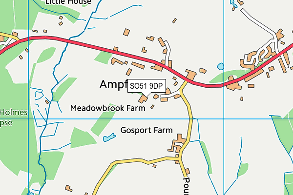 SO51 9DP map - OS VectorMap District (Ordnance Survey)