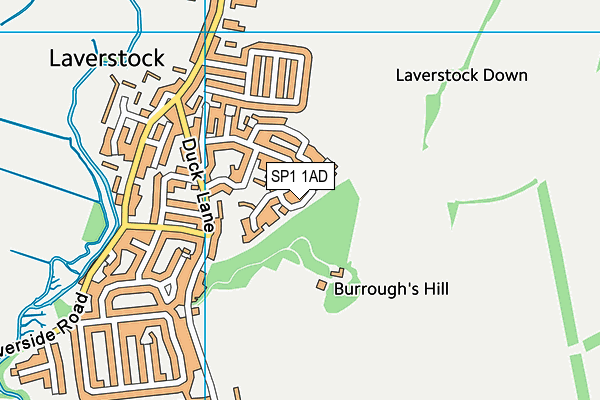 SP1 1AD map - OS VectorMap District (Ordnance Survey)