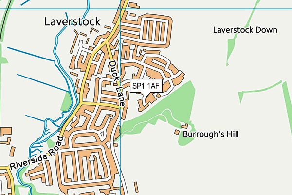 SP1 1AF map - OS VectorMap District (Ordnance Survey)