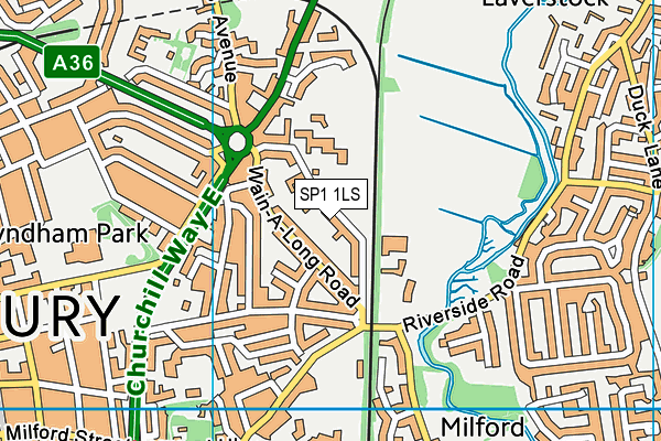 SP1 1LS map - OS VectorMap District (Ordnance Survey)