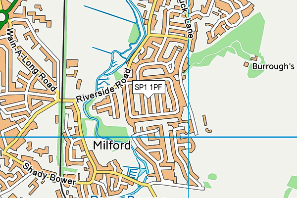 SP1 1PF map - OS VectorMap District (Ordnance Survey)