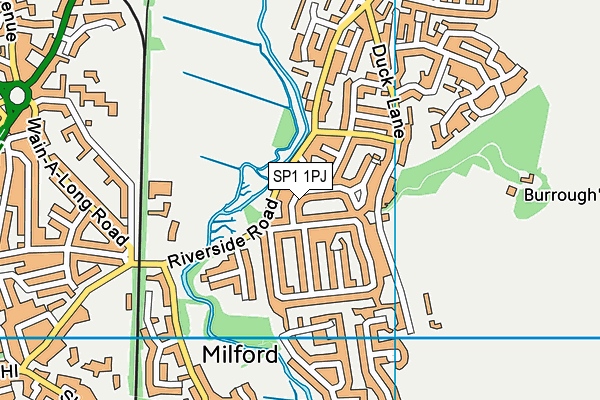 SP1 1PJ map - OS VectorMap District (Ordnance Survey)