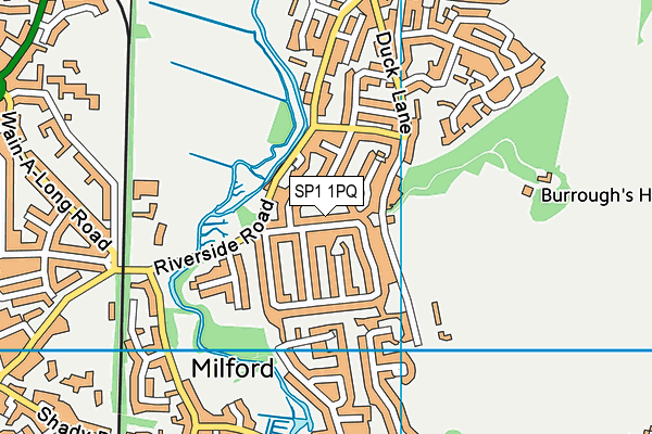 SP1 1PQ map - OS VectorMap District (Ordnance Survey)