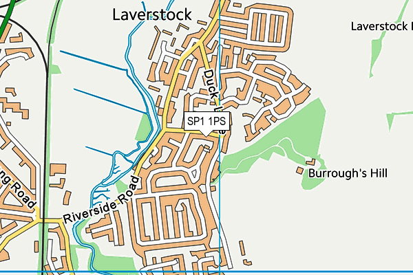 SP1 1PS map - OS VectorMap District (Ordnance Survey)