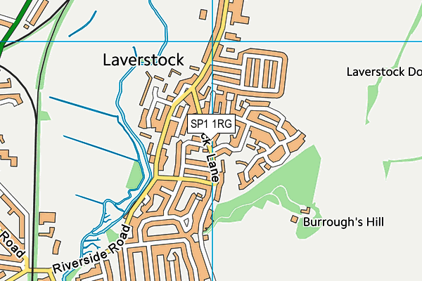 SP1 1RG map - OS VectorMap District (Ordnance Survey)