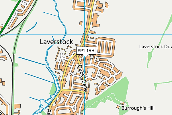 SP1 1RH map - OS VectorMap District (Ordnance Survey)