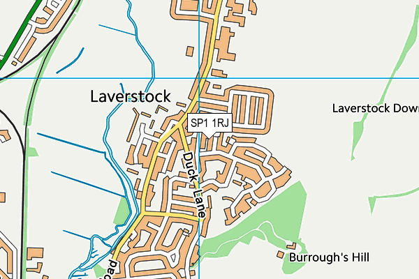 SP1 1RJ map - OS VectorMap District (Ordnance Survey)