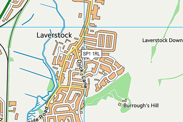 SP1 1RL map - OS VectorMap District (Ordnance Survey)