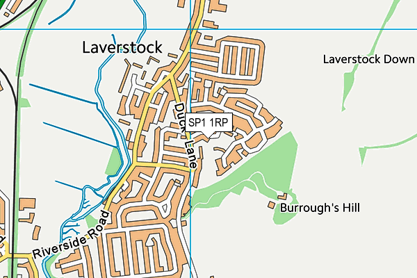 SP1 1RP map - OS VectorMap District (Ordnance Survey)