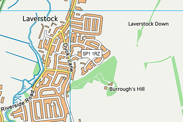 SP1 1RZ map - OS VectorMap District (Ordnance Survey)