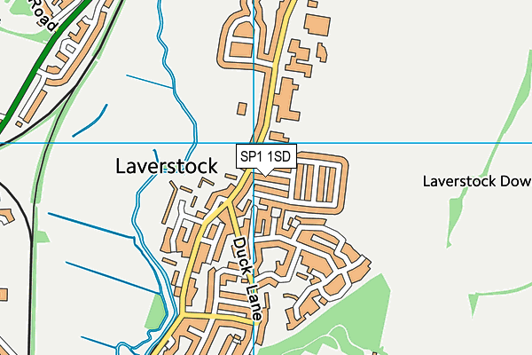 SP1 1SD map - OS VectorMap District (Ordnance Survey)