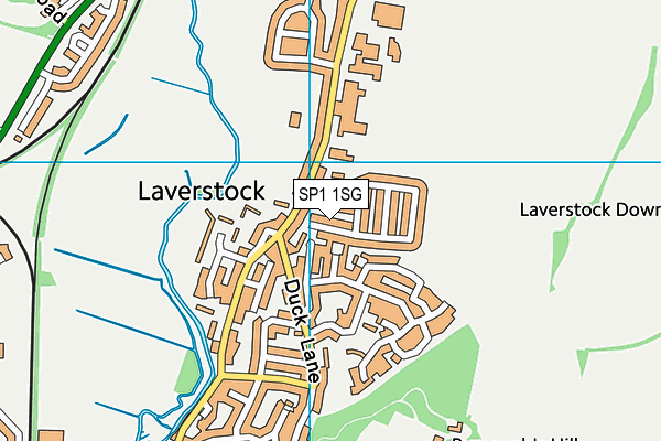 SP1 1SG map - OS VectorMap District (Ordnance Survey)