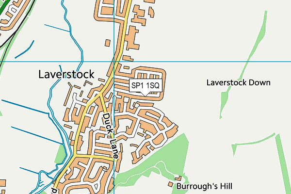 SP1 1SQ map - OS VectorMap District (Ordnance Survey)