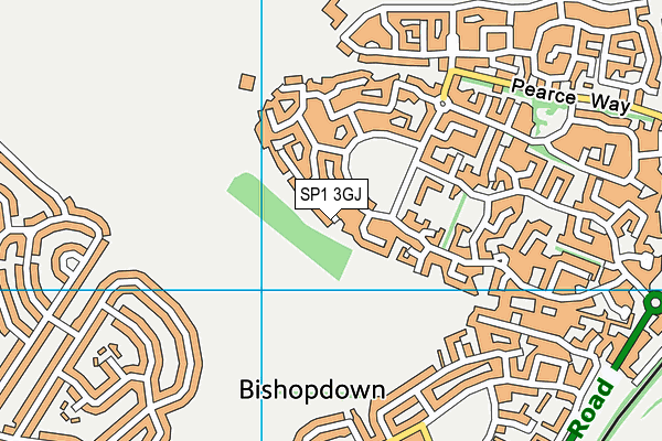 SP1 3GJ map - OS VectorMap District (Ordnance Survey)