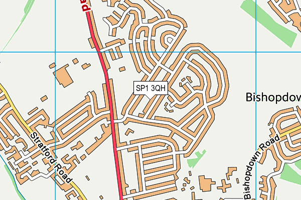 SP1 3QH map - OS VectorMap District (Ordnance Survey)