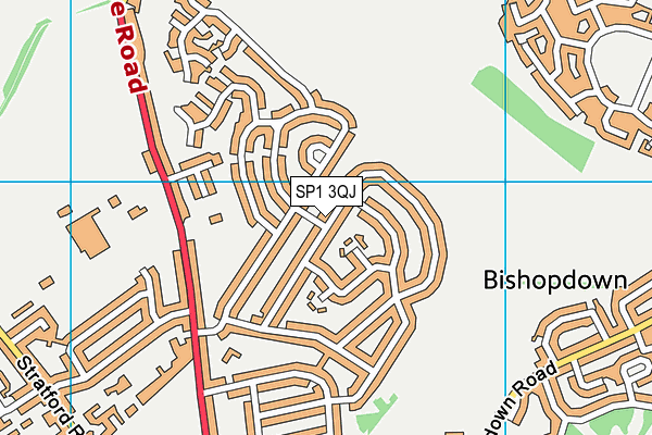 SP1 3QJ map - OS VectorMap District (Ordnance Survey)
