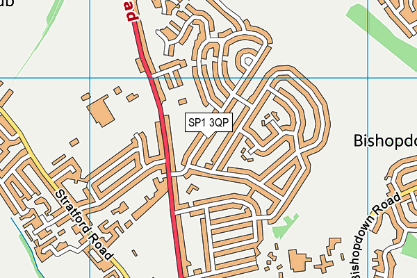 SP1 3QP map - OS VectorMap District (Ordnance Survey)