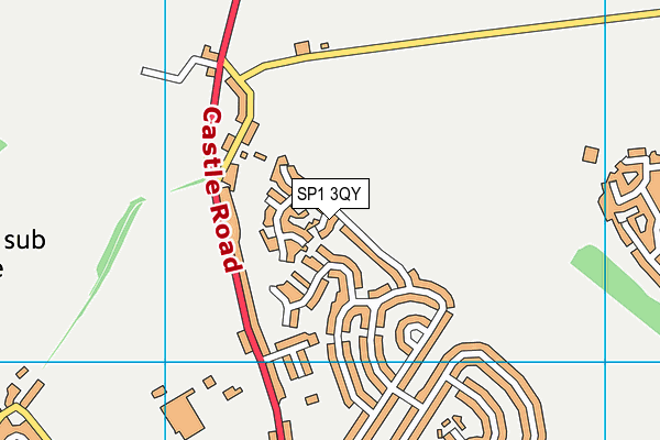 SP1 3QY map - OS VectorMap District (Ordnance Survey)