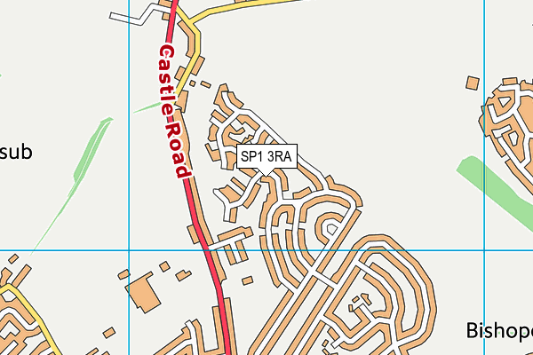 SP1 3RA map - OS VectorMap District (Ordnance Survey)