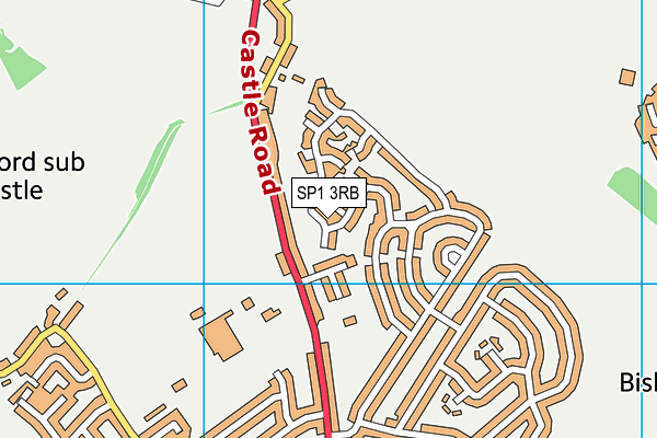 SP1 3RB map - OS VectorMap District (Ordnance Survey)