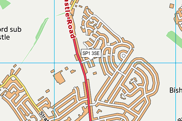 SP1 3SE map - OS VectorMap District (Ordnance Survey)