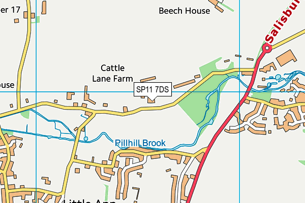 SP11 7DS map - OS VectorMap District (Ordnance Survey)