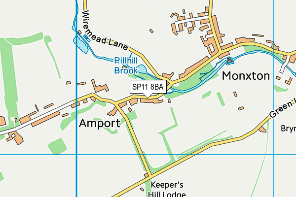 Amport Church of England Primary School map (SP11 8BA) - OS VectorMap District (Ordnance Survey)