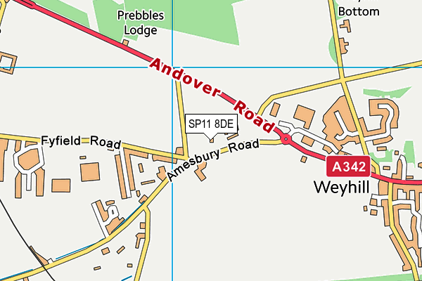 SP11 8DE map - OS VectorMap District (Ordnance Survey)