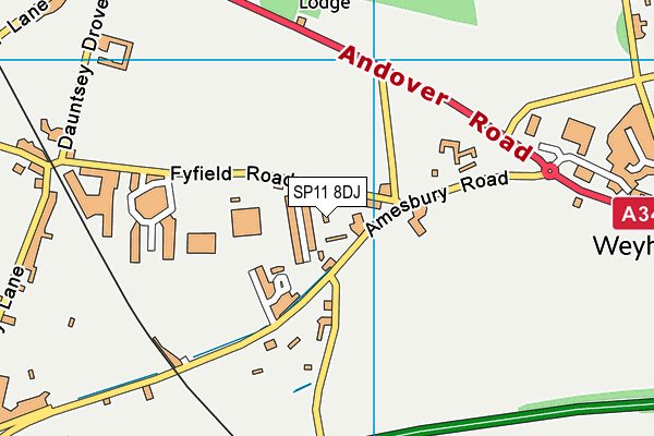 SP11 8DJ map - OS VectorMap District (Ordnance Survey)