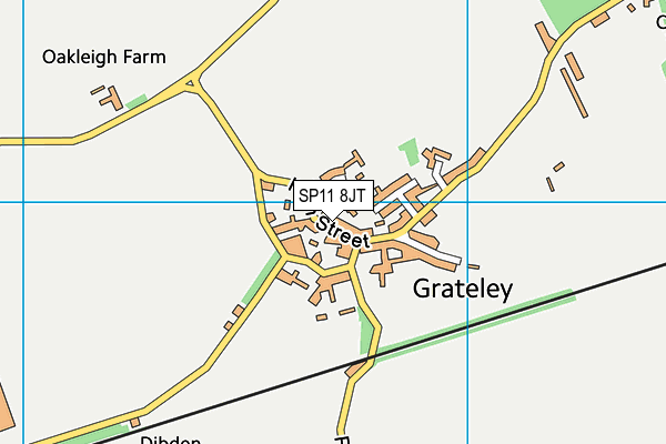 SP11 8JT map - OS VectorMap District (Ordnance Survey)