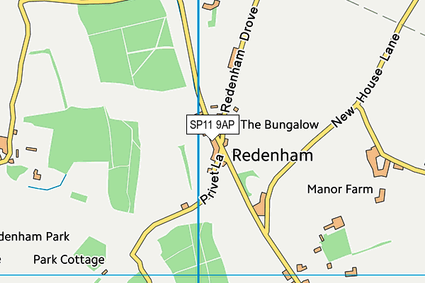 SP11 9AP map - OS VectorMap District (Ordnance Survey)