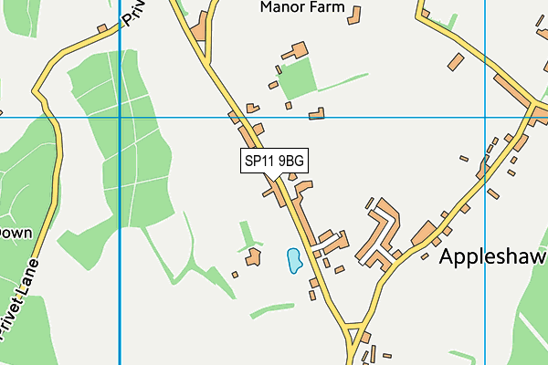 SP11 9BG map - OS VectorMap District (Ordnance Survey)
