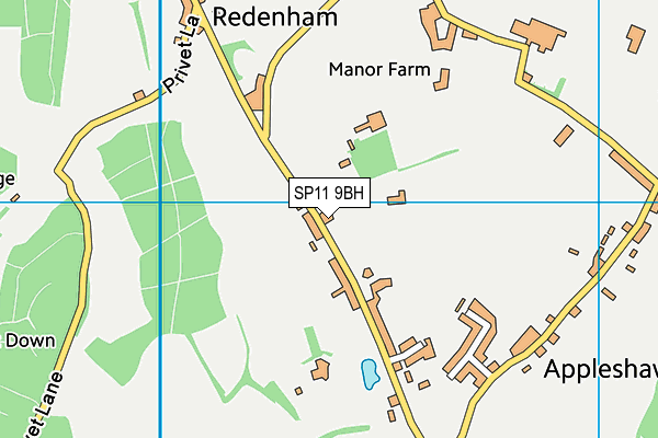 SP11 9BH map - OS VectorMap District (Ordnance Survey)
