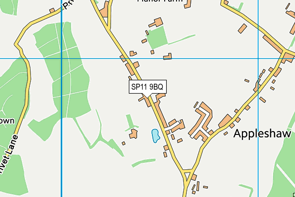 SP11 9BQ map - OS VectorMap District (Ordnance Survey)