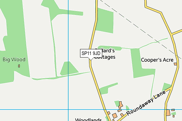SP11 9JD map - OS VectorMap District (Ordnance Survey)