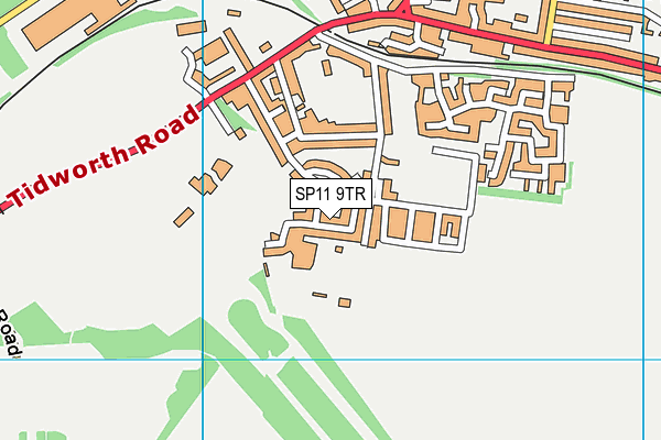 SP11 9TR map - OS VectorMap District (Ordnance Survey)