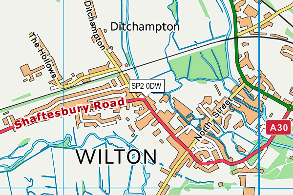 SP2 0DW map - OS VectorMap District (Ordnance Survey)