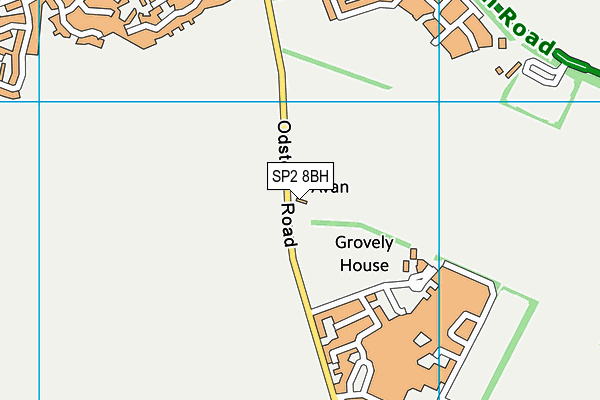 SP2 8BH map - OS VectorMap District (Ordnance Survey)