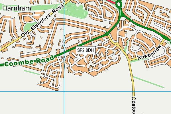 SP2 8DH map - OS VectorMap District (Ordnance Survey)