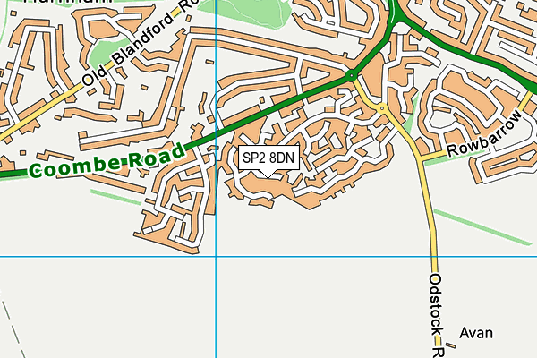 SP2 8DN map - OS VectorMap District (Ordnance Survey)