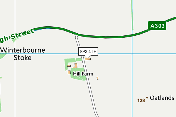 SP3 4TE map - OS VectorMap District (Ordnance Survey)