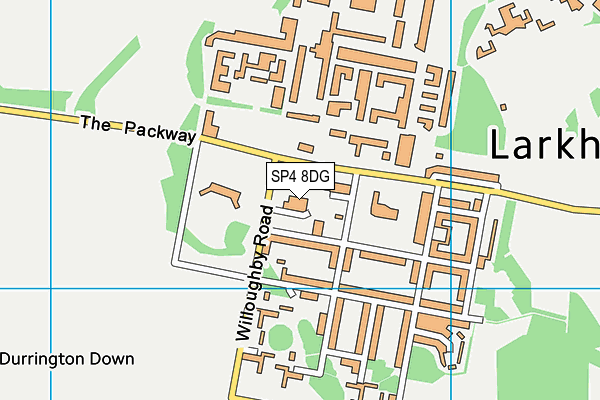 SP4 8DG map - OS VectorMap District (Ordnance Survey)